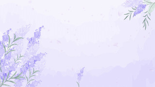 紫色小清新花卉邀请函信纸GIF动态图紫藤花背景